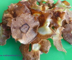 CELERIAC & PARSNIP CRISPS