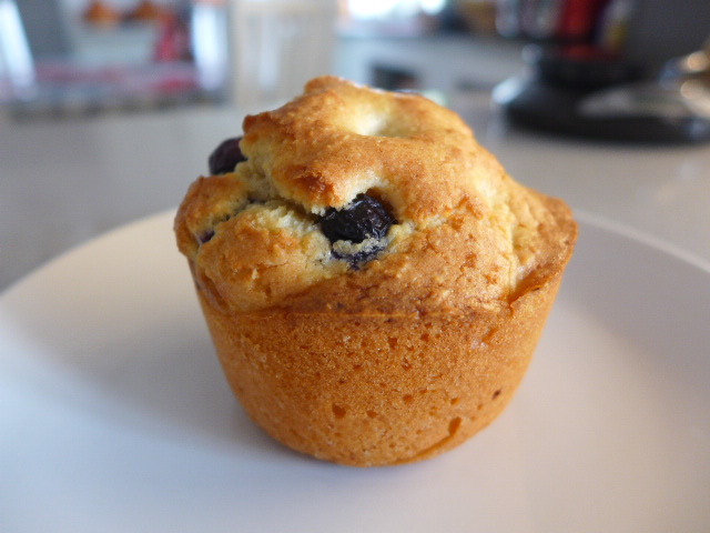 BLUEBERRY MUFFIN - MKD