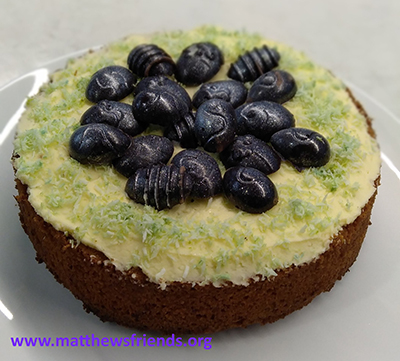 FAMILY SIZE LEMON CAKE