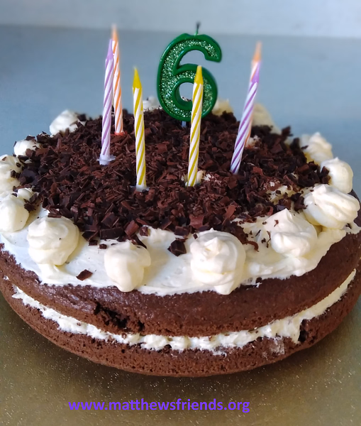 PARTY SIZE CELEBRATION CAKE